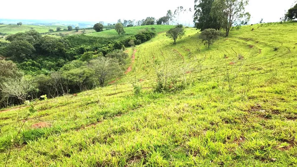 Fazenda, 57 hectares - Foto 4