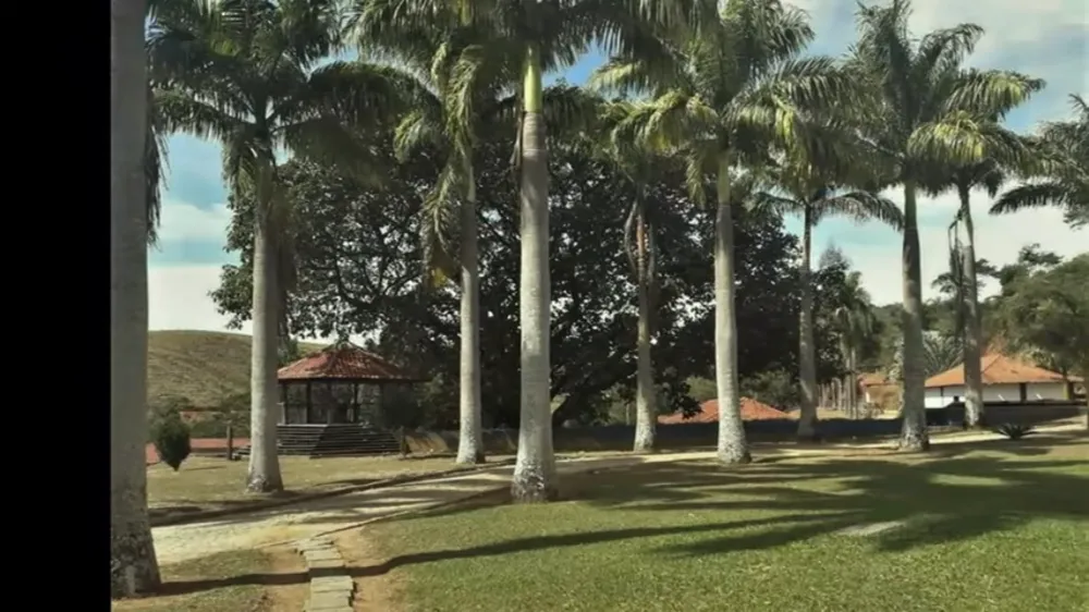 Fazenda, 4 quartos - Foto 3