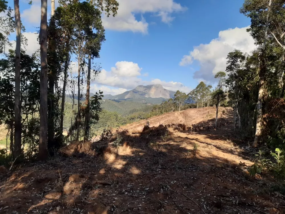 Terreno à venda, 20000m² - Foto 2