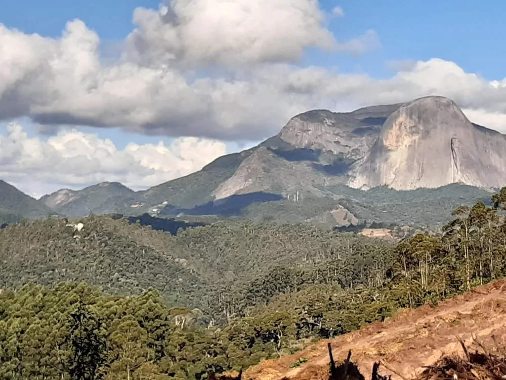 Terreno à venda, 20000m² - Foto 4