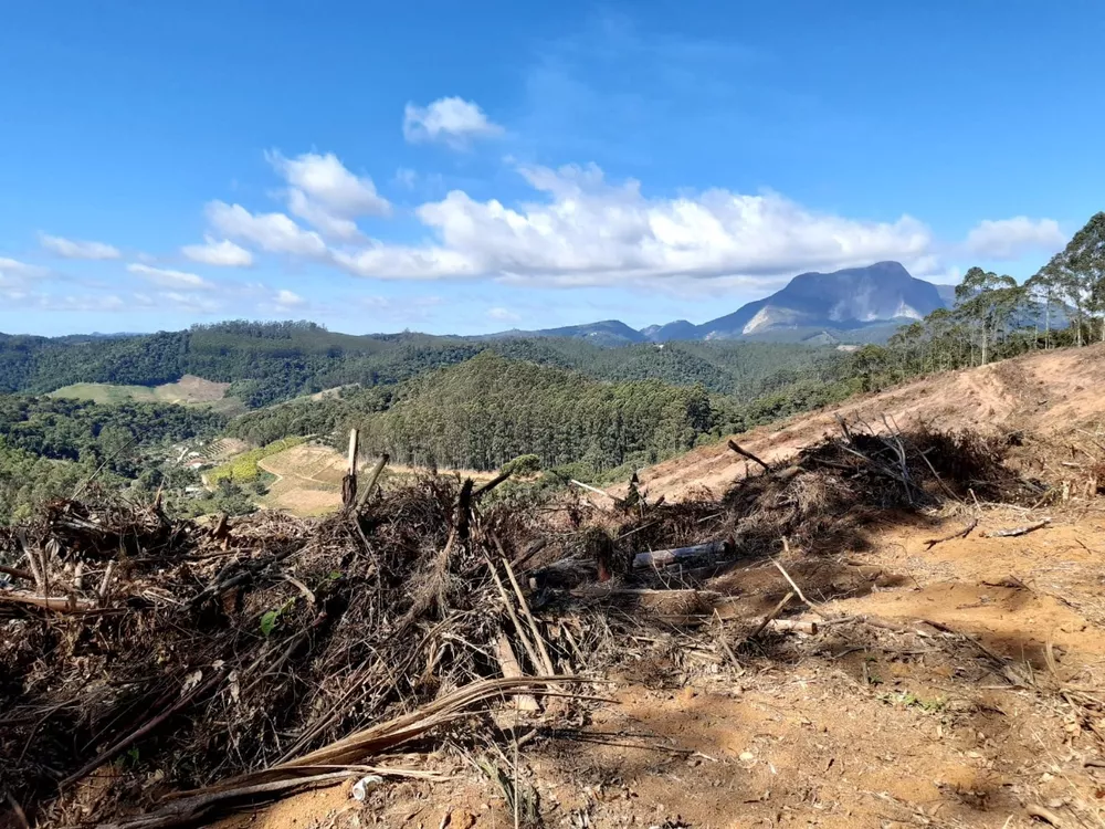 Terreno à venda, 20000m² - Foto 5