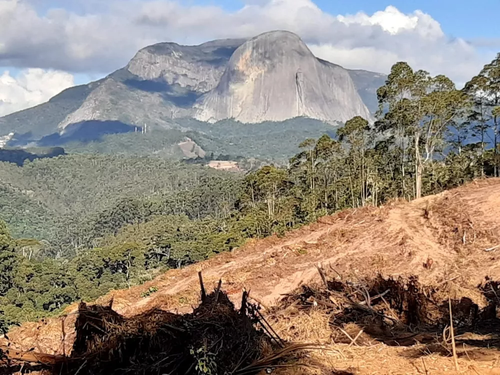 Terreno à venda, 20000m² - Foto 3