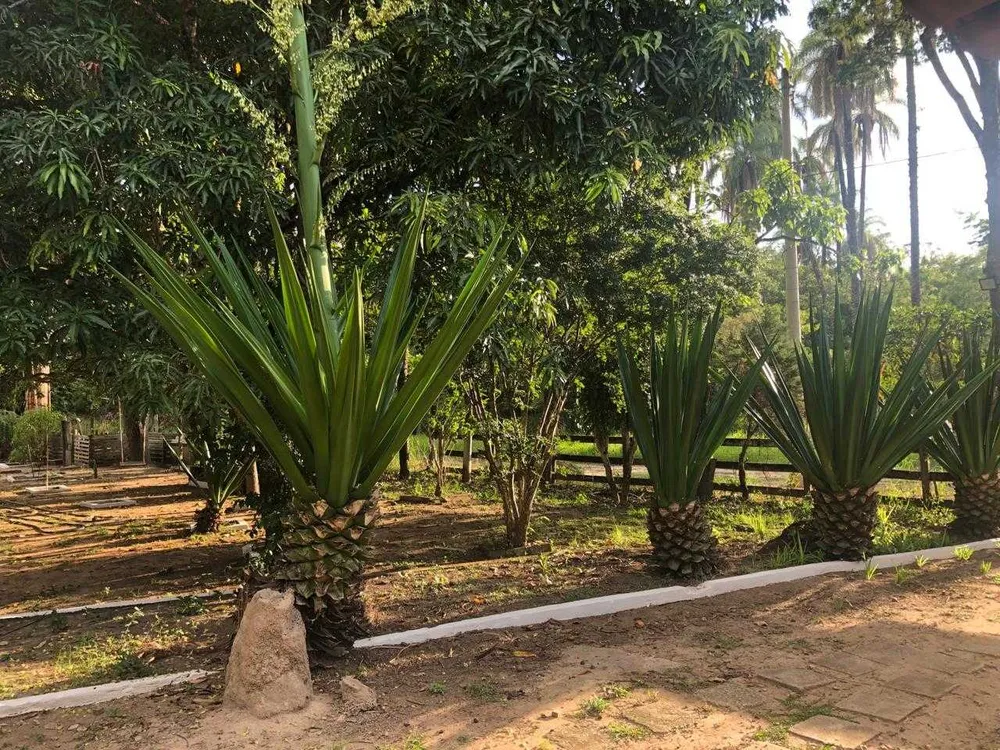 Chácara, 4 quartos, 420 m² - Foto 10