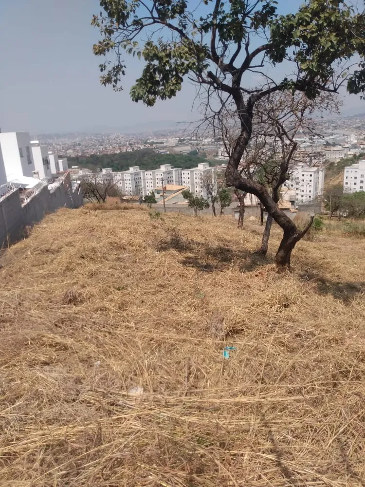Terreno, 2162 m² - Foto 1