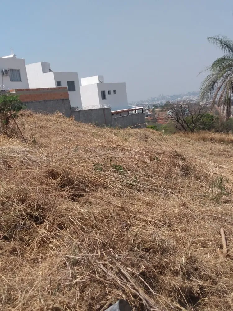 Terreno, 2162 m² - Foto 3