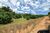 Fazenda, 216 hectares - Foto 3