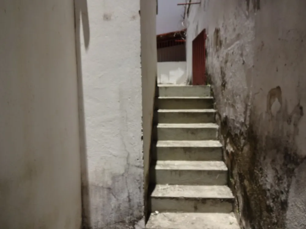Casa, 4 quartos, 250 m² - Foto 16