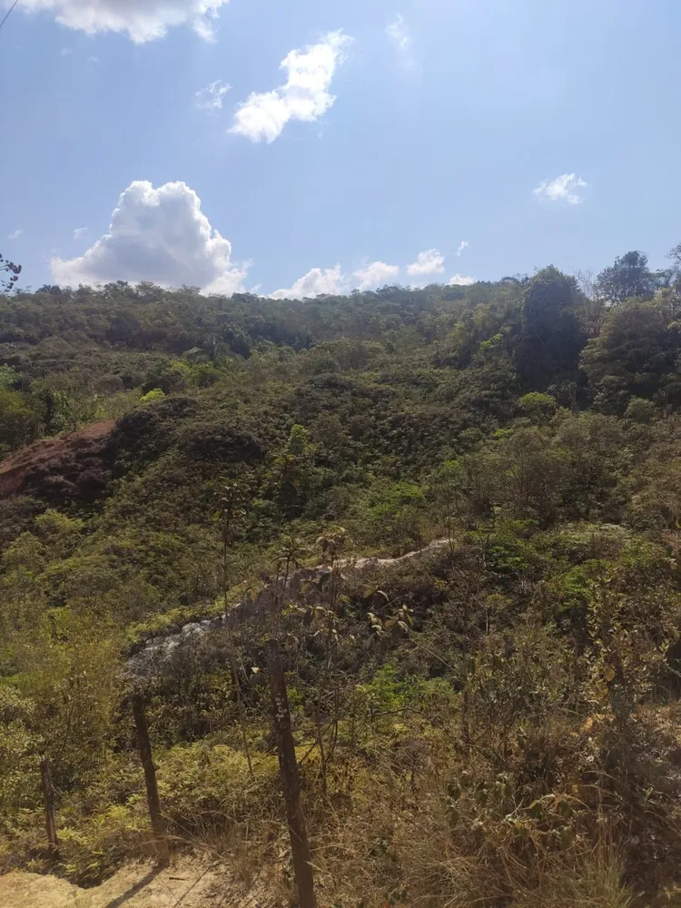 Terreno, 7500 m² - Foto 6