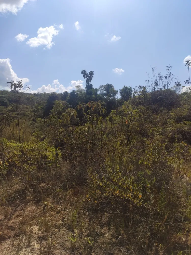 Terreno, 7500 m² - Foto 10