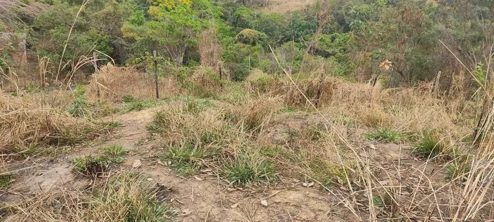 Terreno, 200 m² - Foto 7