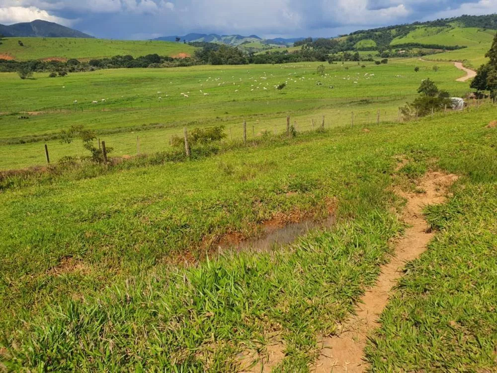 Chácara à venda com 3 quartos, 2300000m² - Foto 13