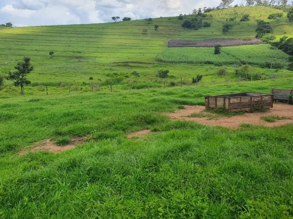 Chácara à venda com 3 quartos, 2300000m² - Foto 2