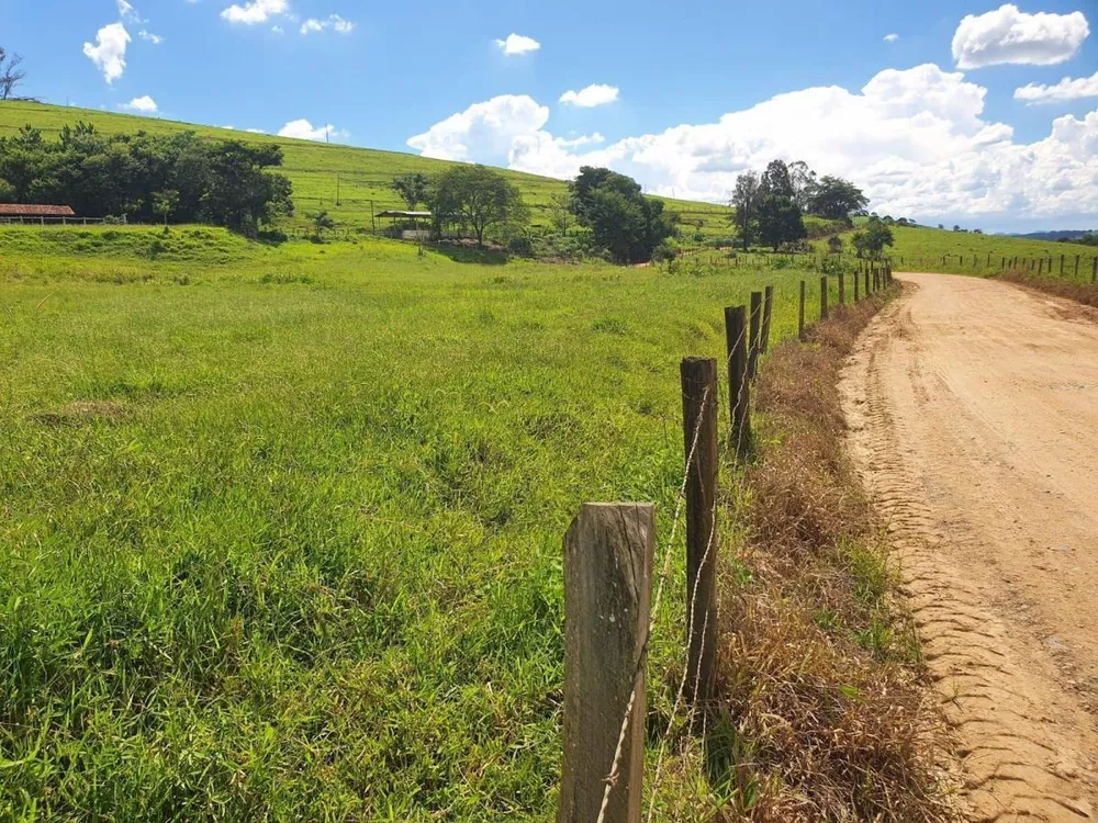 Chácara à venda com 3 quartos, 2300000m² - Foto 14