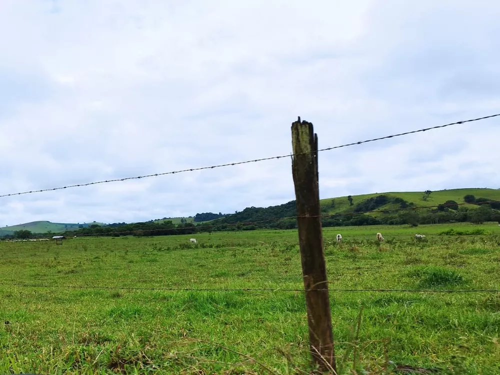 Chácara à venda com 3 quartos, 2300000m² - Foto 16