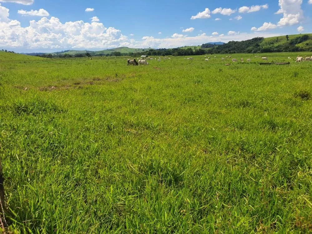 Chácara à venda com 3 quartos, 2300000m² - Foto 10