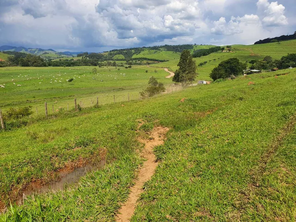 Chácara à venda com 3 quartos, 2300000m² - Foto 12