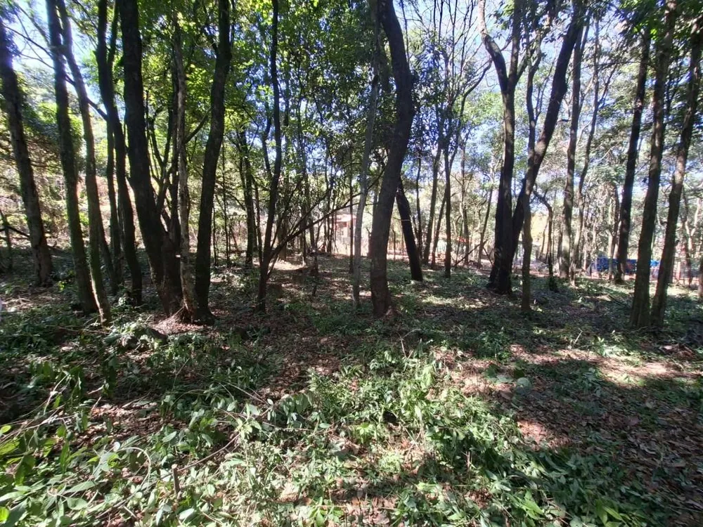 Terreno - Foto 3