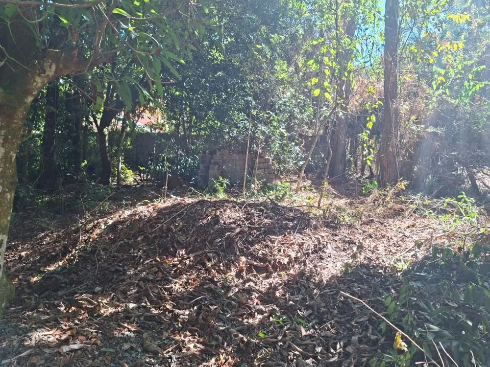 Terreno - Foto 2