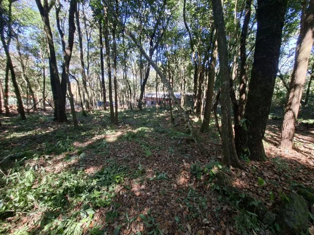 Terreno - Foto 1