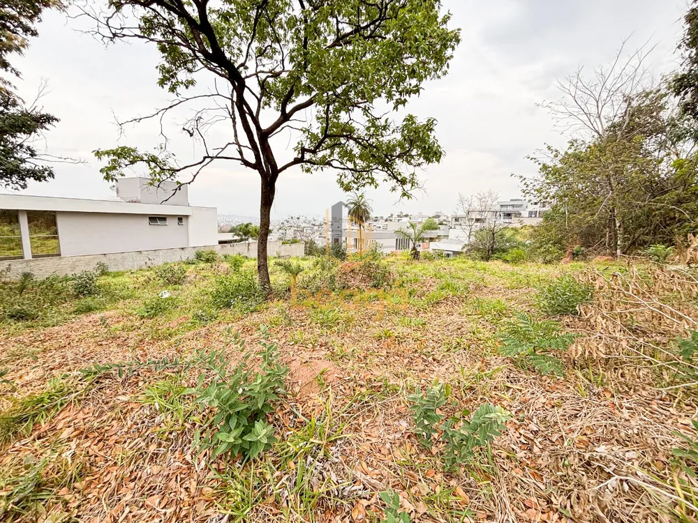 Terreno, 564 m² - Foto 6
