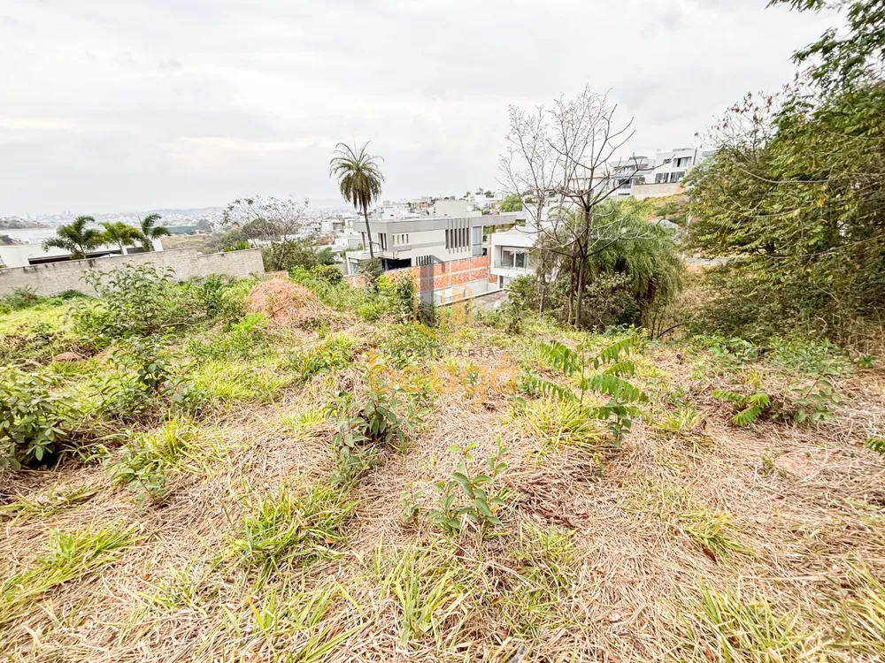 Terreno, 564 m² - Foto 4