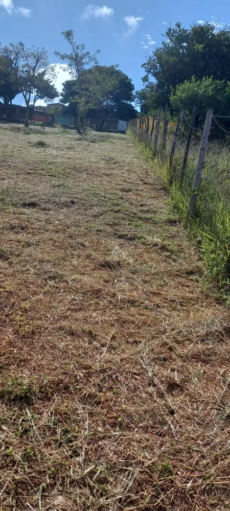 Terreno, 1038 m² - Foto 5