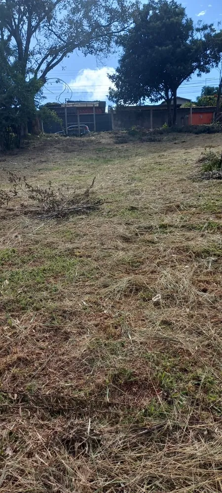 Terreno, 1038 m² - Foto 6