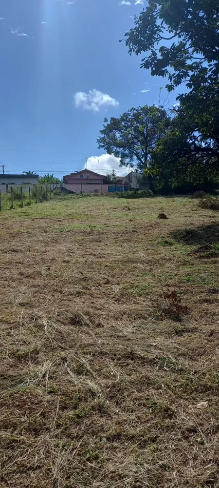 Terreno, 1038 m² - Foto 3