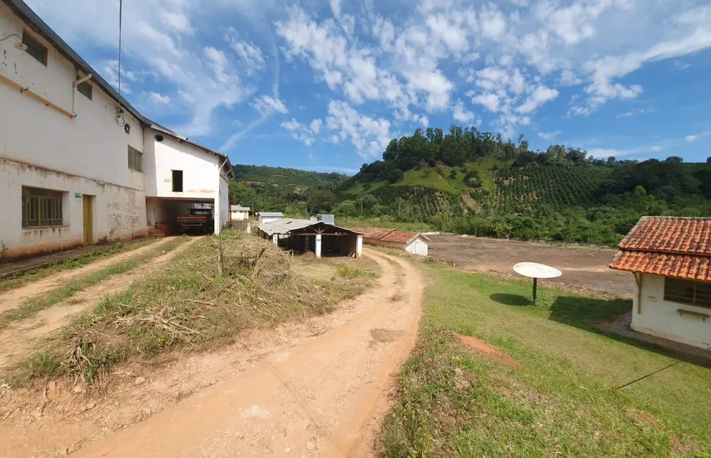 Fazenda, 216 hectares - Foto 9