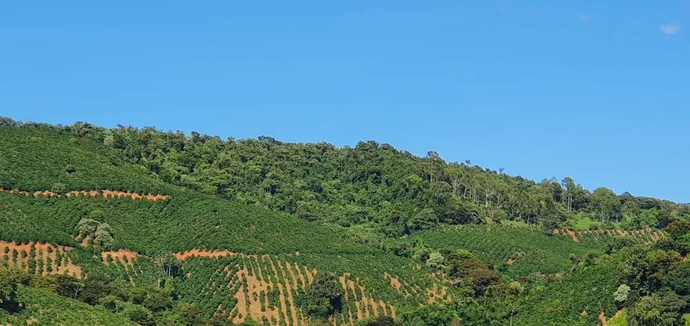 Fazenda, 216 hectares - Foto 3