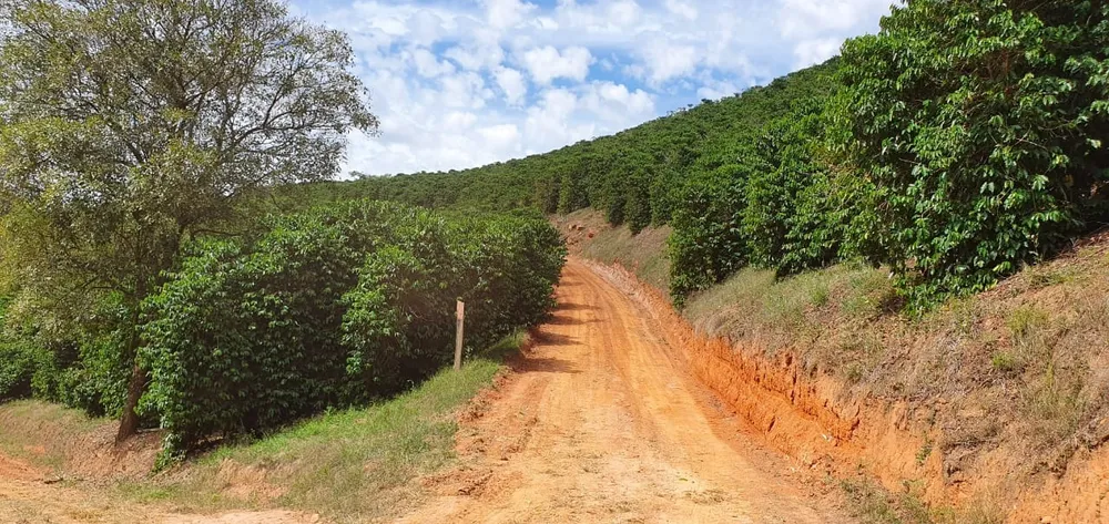 Fazenda, 216 hectares - Foto 4