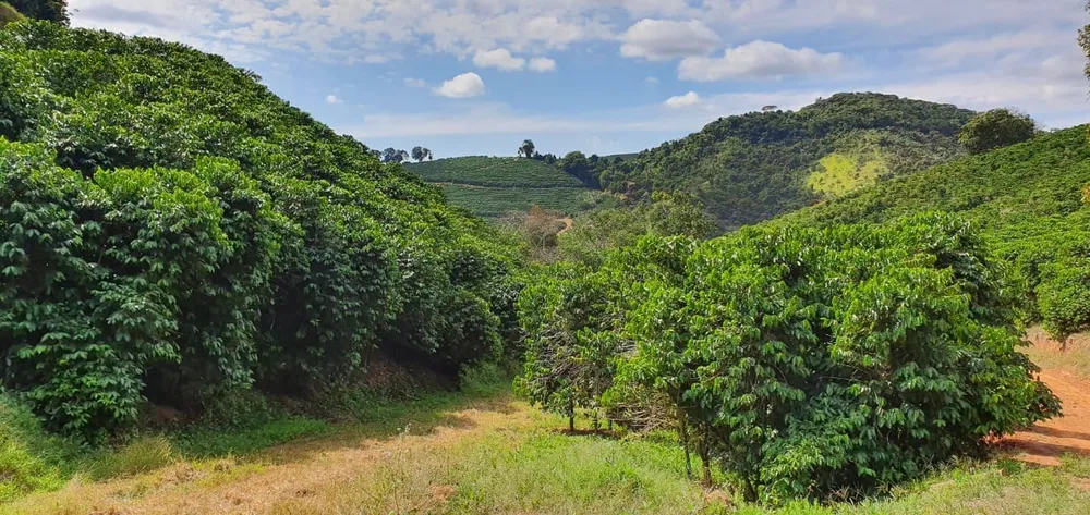 Fazenda, 216 hectares - Foto 2