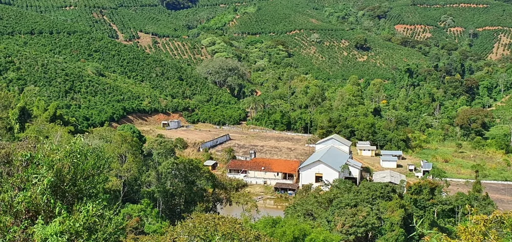 Fazenda, 216 hectares - Foto 6