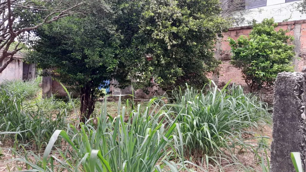 Terreno, 900 m² - Foto 3