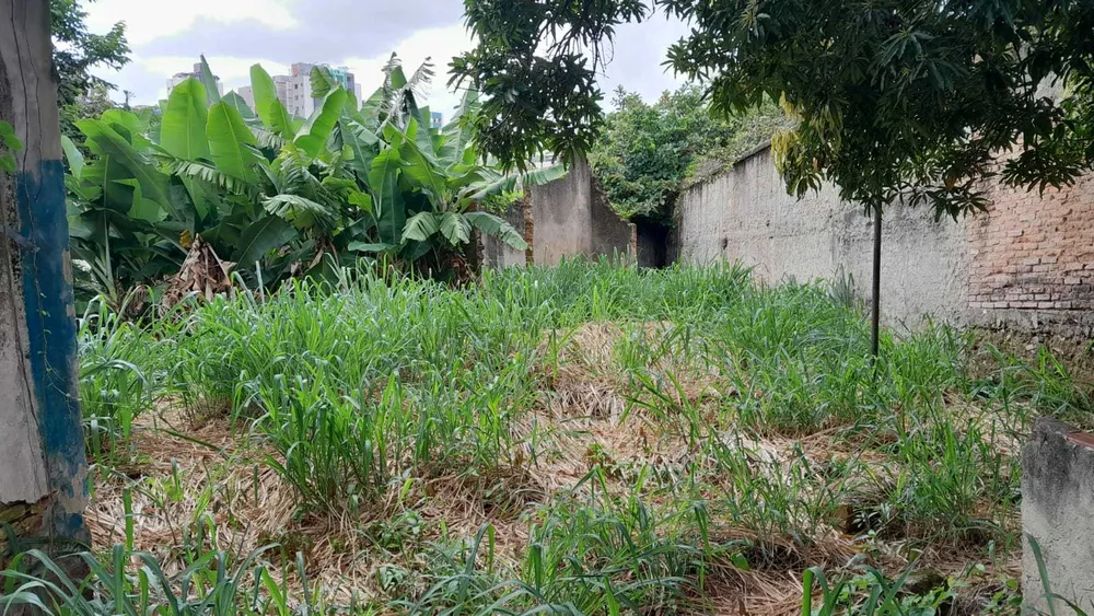 Terreno, 900 m² - Foto 5