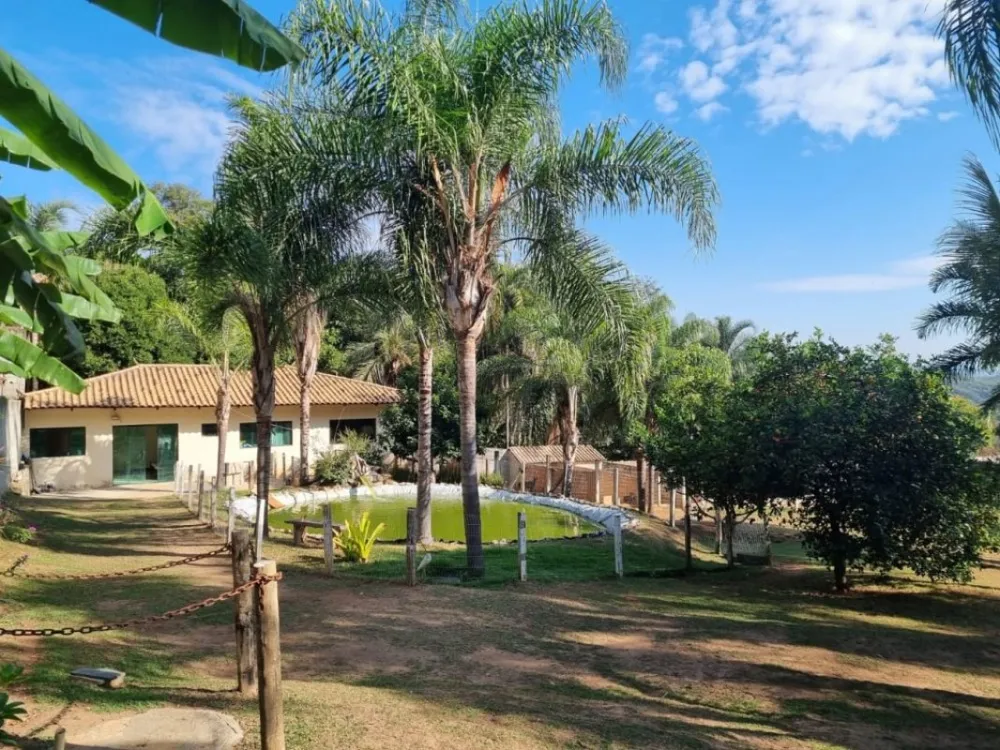 Chácara, 4 quartos - Foto 2