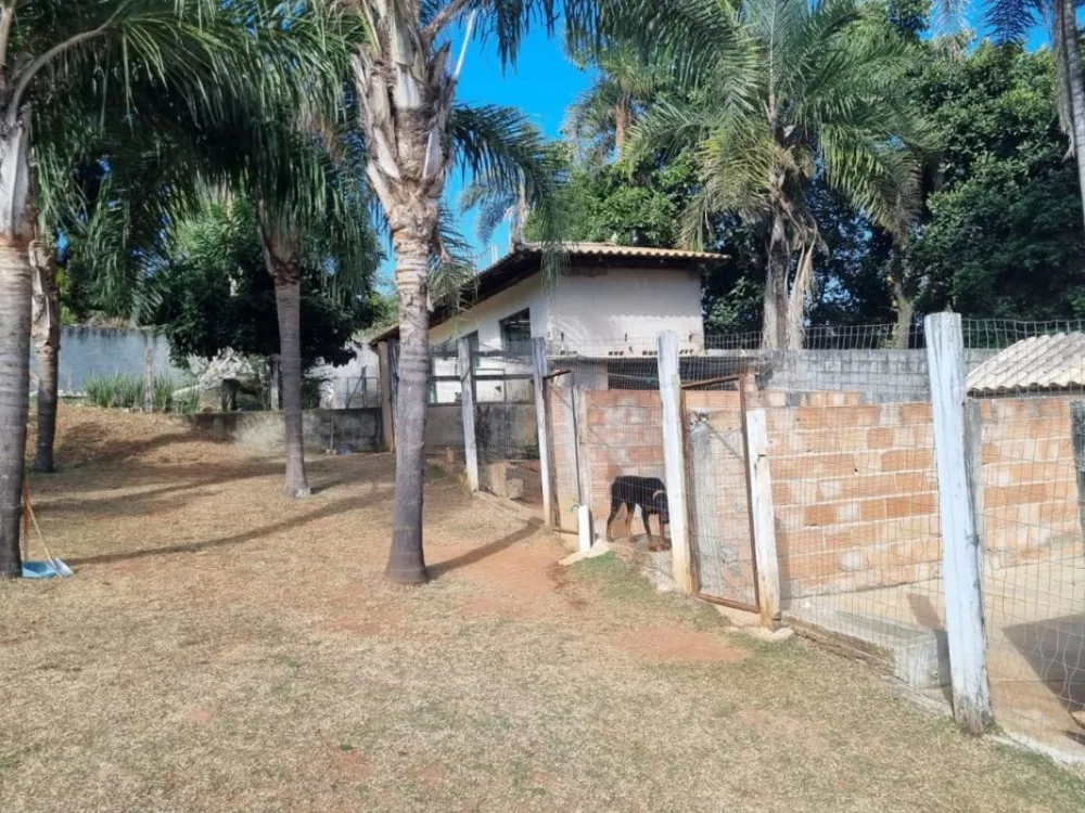 Chácara, 4 quartos - Foto 3