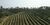Fazenda-Sítio-Chácara, 324 hectares - Foto 1