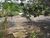 Terreno, 419 m² - Foto 3