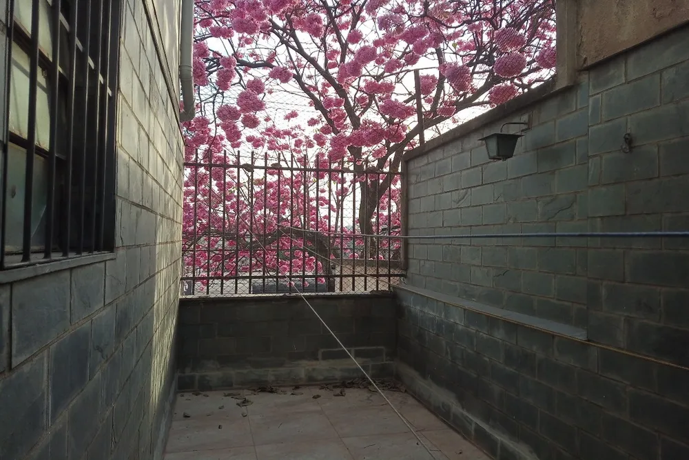 Apartamento, 2 quartos, 80 m² - Foto 2