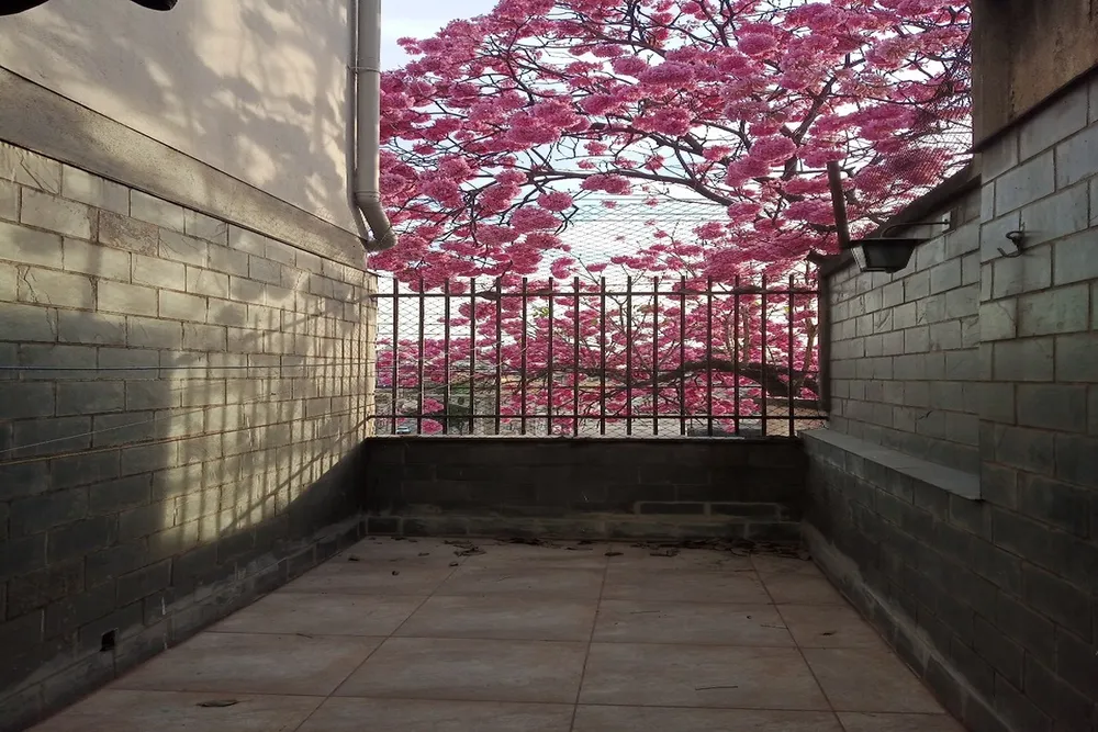 Apartamento, 2 quartos, 80 m² - Foto 11