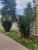 Apartamento, 3 quartos, 65 m² - Foto 11
