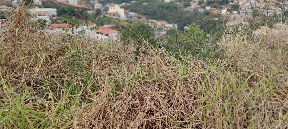 Terreno, 360 m² - Foto 6
