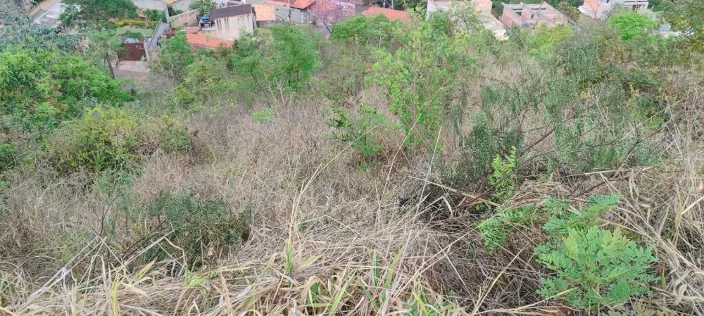 Terreno, 360 m² - Foto 5