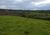 Fazenda, 251 hectares - Foto 4