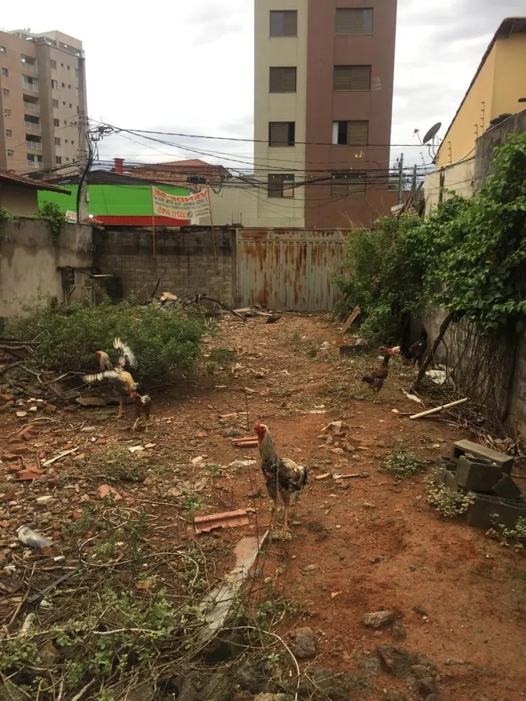 Terreno, 1568 m² - Foto 6