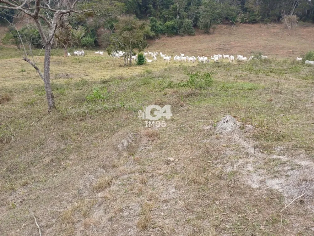 Fazenda, 1 quarto - Foto 11