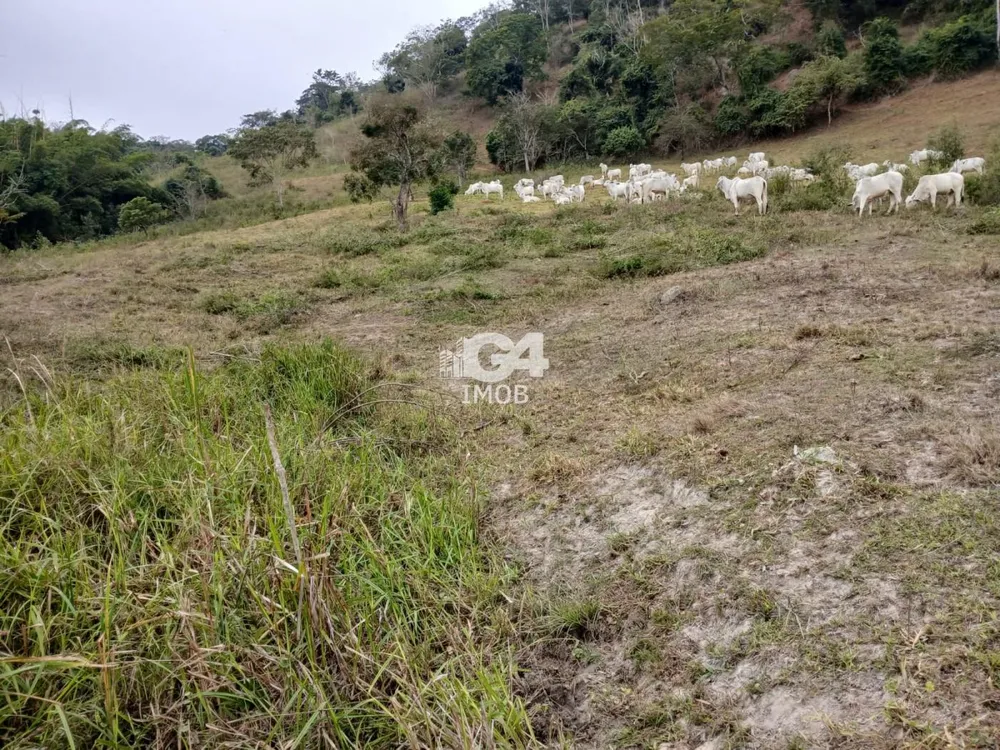 Fazenda, 1 quarto - Foto 10