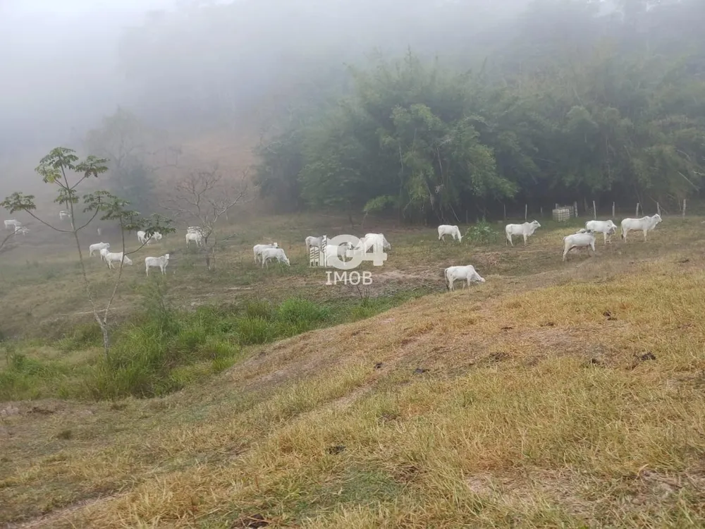 Fazenda, 1 quarto - Foto 12