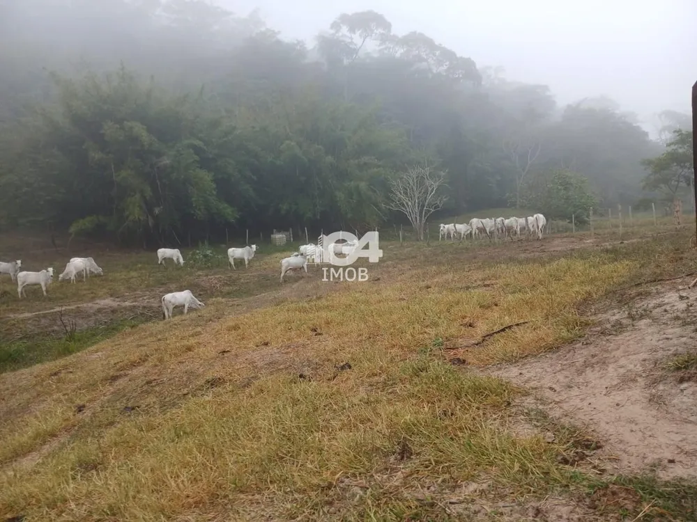 Fazenda, 1 quarto - Foto 9